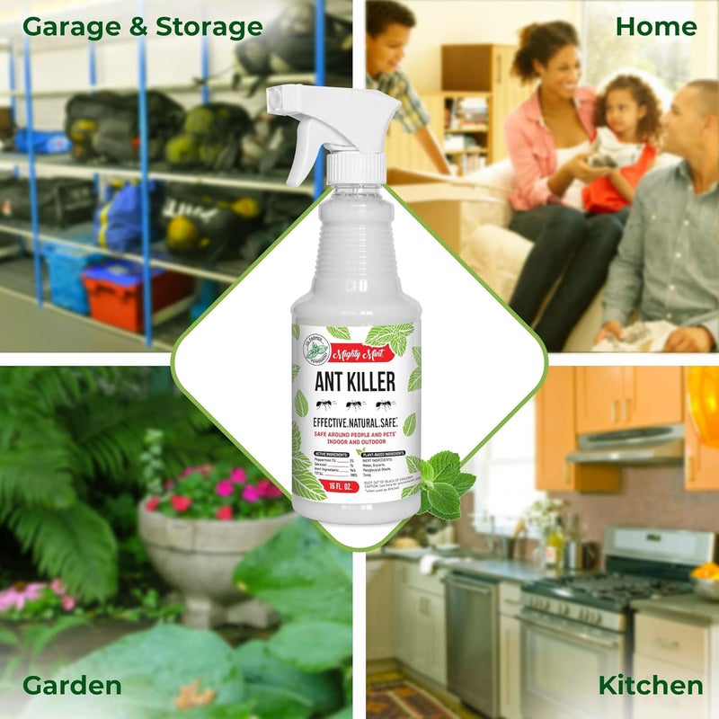 Mighty Mint رذاذ زيت النعناع لمكافحة النمل - طارد نمل طبيعي للاستخدام الداخلي والخارجي - تحكم في الحشرات والآفات من مصادر نباتية - 16 أونصة (عبوة من 2) - Image 3